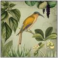 Picture of Yellow Nostalgic Tropical Birds _GroupedProduct_Square_Canvas_Framed_