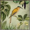 Picture of Yellow Nostalgic Tropical Birds _GroupedProduct_Square_Canvas_Framed_