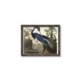 Picture of Vintage Heron Bird _GroupedProduct_Rectangle_Landscape_Canvas_Framed_
