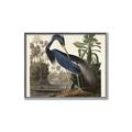 Picture of Vintage Heron Bird _GroupedProduct_Rectangle_Landscape_Canvas_Framed_
