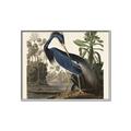 Picture of Vintage Heron Bird _GroupedProduct_Rectangle_Landscape_Canvas_Framed_