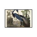 Picture of Vintage Heron Bird _GroupedProduct_Rectangle_Landscape_Canvas_Framed_