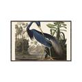 Picture of Vintage Heron Bird _GroupedProduct_Rectangle_Landscape_Canvas_Framed_