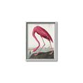 Picture of Vintage Pink Flamingo _GroupedProduct_Rectangle_Portrait_Canvas_Framed_
