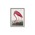 Picture of Vintage Pink Flamingo _GroupedProduct_Rectangle_Portrait_Canvas_Framed_