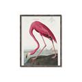 Picture of Vintage Pink Flamingo _GroupedProduct_Rectangle_Portrait_Canvas_Framed_