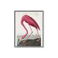 Picture of Vintage Pink Flamingo _GroupedProduct_Rectangle_Portrait_Canvas_Framed_