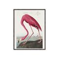 Picture of Vintage Pink Flamingo _GroupedProduct_Rectangle_Portrait_Canvas_Framed_