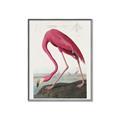 Picture of Vintage Pink Flamingo _GroupedProduct_Rectangle_Portrait_Canvas_Framed_
