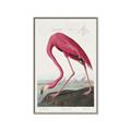 Picture of Vintage Pink Flamingo _GroupedProduct_Rectangle_Portrait_Canvas_Framed_