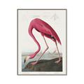 Picture of Vintage Pink Flamingo _GroupedProduct_Rectangle_Portrait_Canvas_Framed_