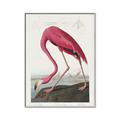 Picture of Vintage Pink Flamingo _GroupedProduct_Rectangle_Portrait_Canvas_Framed_
