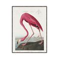 Picture of Vintage Pink Flamingo _GroupedProduct_Rectangle_Portrait_Canvas_Framed_
