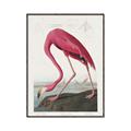 Picture of Vintage Pink Flamingo _GroupedProduct_Rectangle_Portrait_Canvas_Framed_