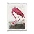 Picture of Vintage Pink Flamingo _GroupedProduct_Rectangle_Portrait_Canvas_Framed_