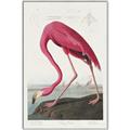 Picture of Vintage Pink Flamingo _GroupedProduct_Rectangle_Portrait_Canvas_Framed_