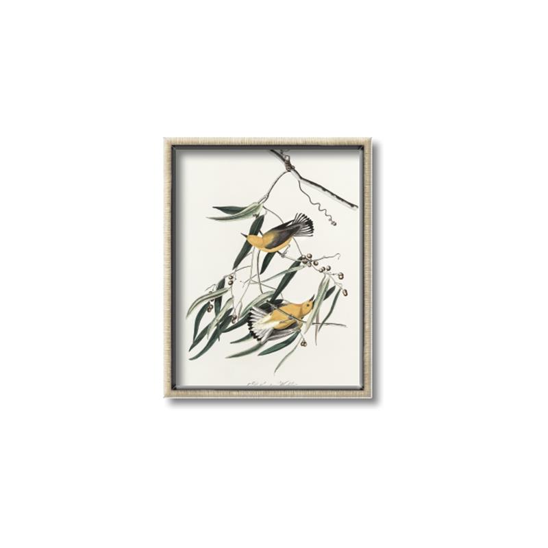 Picture of Two Yellow Warbler Birds _GroupedProduct_Rectangle_Portrait_Canvas_Framed_