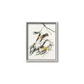 Picture of Two Yellow Warbler Birds _GroupedProduct_Rectangle_Portrait_Canvas_Framed_