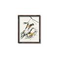 Picture of Two Yellow Warbler Birds _GroupedProduct_Rectangle_Portrait_Canvas_Framed_