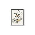 Picture of Two Yellow Warbler Birds _GroupedProduct_Rectangle_Portrait_Canvas_Framed_