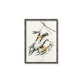 Picture of Two Yellow Warbler Birds _GroupedProduct_Rectangle_Portrait_Canvas_Framed_