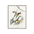Picture of Two Yellow Warbler Birds _GroupedProduct_Rectangle_Portrait_Canvas_Framed_