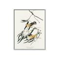 Picture of Two Yellow Warbler Birds _GroupedProduct_Rectangle_Portrait_Canvas_Framed_