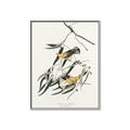 Picture of Two Yellow Warbler Birds _GroupedProduct_Rectangle_Portrait_Canvas_Framed_