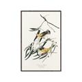Picture of Two Yellow Warbler Birds _GroupedProduct_Rectangle_Portrait_Canvas_Framed_