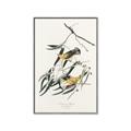 Picture of Two Yellow Warbler Birds _GroupedProduct_Rectangle_Portrait_Canvas_Framed_