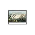 Picture of Vintage Floating White Swan _GroupedProduct_Rectangle_Landscape_Canvas_Framed_