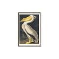 Picture of Vintage White Pelican _GroupedProduct_Rectangle_Portrait_Canvas_Framed_