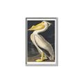 Picture of Vintage White Pelican _GroupedProduct_Rectangle_Portrait_Canvas_Framed_