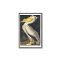 Picture of Vintage White Pelican _GroupedProduct_Rectangle_Portrait_Canvas_Framed_