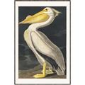 Picture of Vintage White Pelican _GroupedProduct_Rectangle_Portrait_Canvas_Framed_
