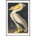Picture of Vintage White Pelican _GroupedProduct_Rectangle_Portrait_Canvas_Framed_