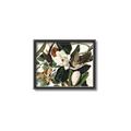 Picture of Black Billed Cuckoo Bird _GroupedProduct_Rectangle_Landscape_Canvas_Framed_