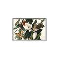 Picture of Black Billed Cuckoo Bird _GroupedProduct_Rectangle_Landscape_Canvas_Framed_