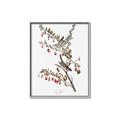 Picture of Vintage Tree Sparrow _GroupedProduct_Rectangle_Portrait_Canvas_Framed_