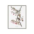 Picture of Vintage Tree Sparrow _GroupedProduct_Rectangle_Portrait_Canvas_Framed_