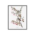 Picture of Vintage Tree Sparrow _GroupedProduct_Rectangle_Portrait_Canvas_Framed_