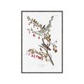 Picture of Vintage Tree Sparrow _GroupedProduct_Rectangle_Portrait_Canvas_Framed_