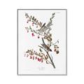 Picture of Vintage Tree Sparrow _GroupedProduct_Rectangle_Portrait_Canvas_Framed_