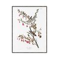 Picture of Vintage Tree Sparrow _GroupedProduct_Rectangle_Portrait_Canvas_Framed_