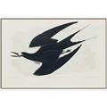 Picture of Vintage Black Sooty Tern _GroupedProduct_Rectangle_Landscape_Canvas_Framed_