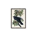 Picture of Raven From Birds of America (1827) _GroupedProduct_Rectangle_Portrait_Canvas_Framed_