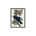Picture of Raven From Birds of America (1827) _GroupedProduct_Rectangle_Portrait_Canvas_Framed_