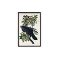 Picture of Raven From Birds of America (1827) _GroupedProduct_Rectangle_Portrait_Canvas_Framed_