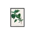 Picture of Nostalgic Green Lilac Leaves _GroupedProduct_Rectangle_Portrait_Canvas_Framed_