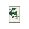 Picture of Nostalgic Green Lilac Leaves _GroupedProduct_Rectangle_Portrait_Canvas_Framed_